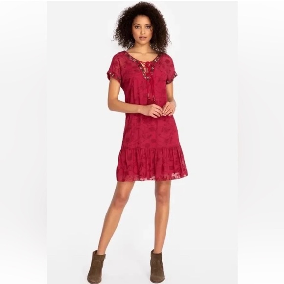 JOHNNY WAS🌻 JADE Sheer Embroidered Lace Up Mini Dress - Picture 3 of 15